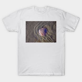 Sand Dollar Ripples - Oregon Coast T-Shirt